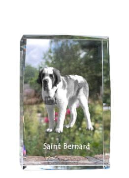 Artdog Bernardin, pes sv. Bernard - kristal s fotografijo psa, fotografija v steklu, sodobna fotografska razstava blagovne znamke Art-Dog