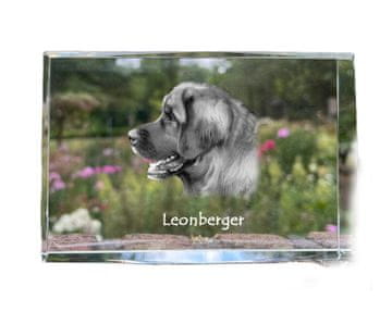 Artdog Leonberger - kristal s fotografijo psa, fotografija v steklu, sodobna razstava fotografij blagovne znamke Art-Dog