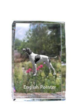 Artdog Pointer - kristal s fotografijo psa, fotografija v steklu, sodobna razstava fotografij blagovne znamke Art-Dog
