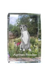 Artdog Avstrijski pinč, avstrijski pinč - kristal s fotografijo psa, fotografija v steklu, razstava modernih fotografij Art-Dog