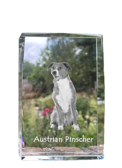 Artdog Avstrijski pinč, avstrijski pinč - kristal s fotografijo psa, fotografija v steklu, razstava modernih fotografij Art-Dog
