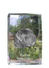 Artdog Neapeljski mastif, Neapeljski mastif, Mastino napoletano - kristal s fotografijo psa, fotografija v steklu, sodobna fotografska razstava znamke Art-Dog