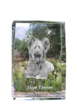Artdog Skye terier - kristal s fotografijo psa, fotografija v steklu, sodobna fotografska razstava Art-Dog