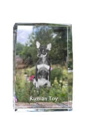 Artdog Ruska igrača, miniaturni moskovski terier - kristal s fotografijo psa, fotografija v steklu, sodobna fotografska razstava znamke Art-Dog
