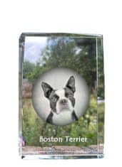 Artdog Bostonski terier, Bostonski bulterier - kristal s fotografijo psa, fotografija v steklu, sodobna fotografska razstava Art-Dog