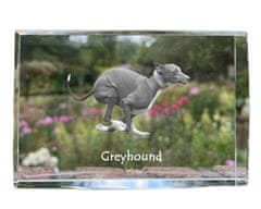Artdog Greyhound, angleški hrt - kristal s fotografijo psa, fotografija v steklu, sodobna fotografska razstava Art-Dog