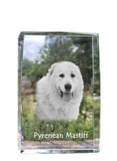 Artdog Pirenejski mastif - kristal s fotografijo psa, fotografija v steklu, sodobna fotografska razstava Art-Dog