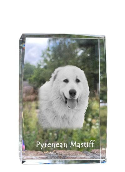 Artdog Pirenejski mastif - kristal s fotografijo psa, fotografija v steklu, sodobna fotografska razstava Art-Dog