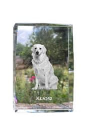 Artdog Kuvasz - kristal s fotografijo psa, fotografija v steklu, sodobna fotografska razstava blagovne znamke Art-Dog