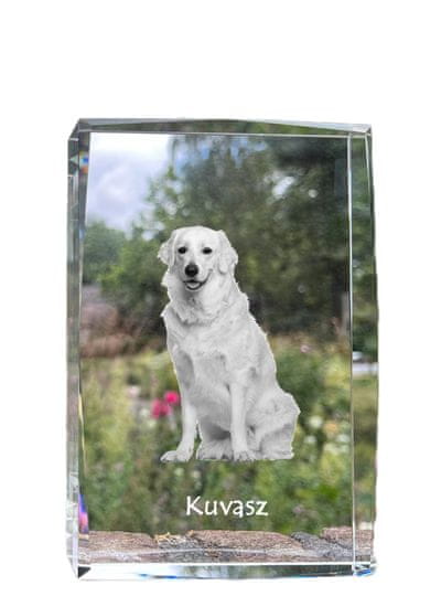 Artdog Kuvasz - kristal s fotografijo psa, fotografija v steklu, sodobna fotografska razstava blagovne znamke Art-Dog