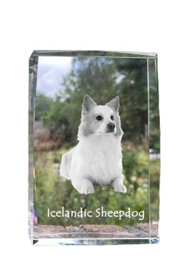 Artdog Islandski ovčar - kristal s fotografijo psa, fotografija v steklu, sodobna fotografska razstava Art-Dog