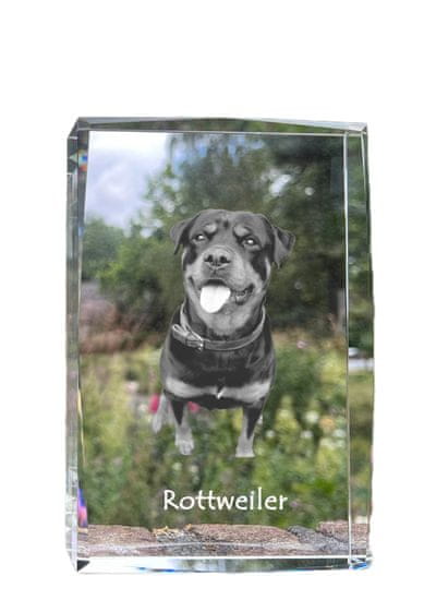 Artdog Rottweiler - kristal s fotografijo psa, fotografija v steklu, sodobna fotografska razstava Art-Dog
