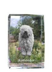 Artdog Komondor - kristal s fotografijo psa, fotografija v steklu, sodobna fotografska razstava Art-Dog