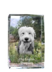 Artdog Old English Sheepdog - kristal s fotografijo psa, fotografija v steklu, sodobna fotografska razstava Art-Dog