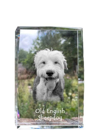 Artdog Old English Sheepdog - kristal s fotografijo psa, fotografija v steklu, sodobna fotografska razstava Art-Dog