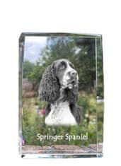 Artdog Angleški špringer španjel - kristal s fotografijo psa, fotografija v steklu, sodobna fotografska razstava znamke Art-Dog