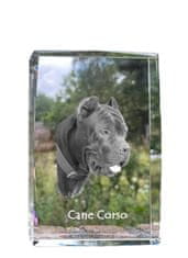 Artdog Cane Corso Italiano - kristal s fotografijo psa, fotografija v steklu, sodobna fotografska razstava Art-Dog