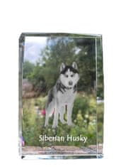 Artdog Sibirski haski, Sibirski haski - kristal s fotografijo psa, fotografija v steklu, sodobna fotografska razstava Art-Dog