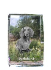 Artdog Jazbečar - kristal s fotografijo psa, fotografija v steklu, sodobna fotografska razstava Art-Dog
