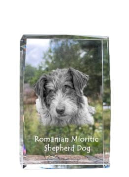 Artdog Romunski mioritski ovčar - kristal s fotografijo psa, fotografija v steklu, sodobna fotografska razstava Art-Dog