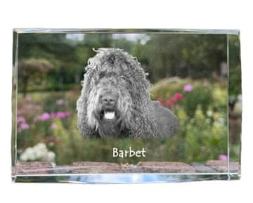 Artdog Barbet, francoski vodni pes - kristal s fotografijo psa, fotografija v steklu, sodobna fotografska razstava Art-Dog