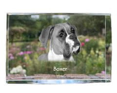 Artdog Boxer, Boxer III - kristal s fotografijo psa, fotografija v steklu, sodobna fotografska razstava Art-Dog