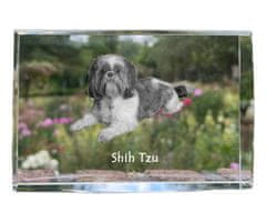 Artdog Shih Tzu, Shi tsu, Shi-Tzu, Szi-cu, Szitzu - kristal s fotografijo psa, fotografija v steklu, sodobna fotografska razstava Art-Dog