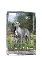 Artdog Bordojski pes, Bordojska doga, francoski mastif - kristal s fotografijo psa, fotografija v steklu, sodobna fotografska razstava znamke Art-Dog