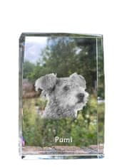 Artdog Pumi - kristal s fotografijo psa, fotografija v steklu, sodobna razstava fotografij znamke Art-Dog