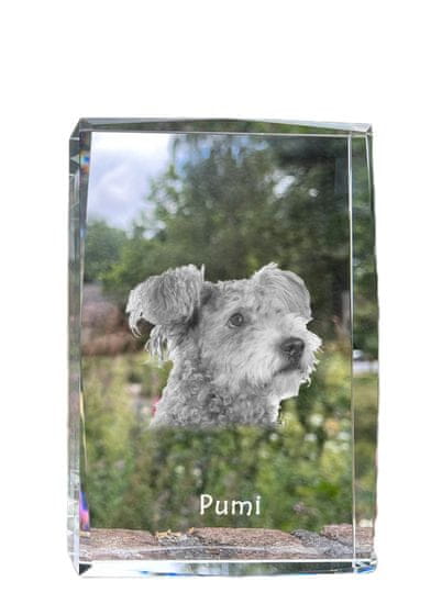 Artdog Pumi - kristal s fotografijo psa, fotografija v steklu, sodobna razstava fotografij znamke Art-Dog