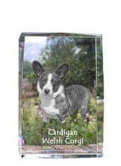 Artdog Cardigan Welsh Corgi I - kristal s fotografijo psa, fotografija v steklu, sodobna fotografska razstava Art-Dog