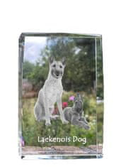 Artdog Belgijski ovčar Laekenois - kristal s fotografijo psa, fotografija v steklu, sodobna fotografska razstava Art-Dog