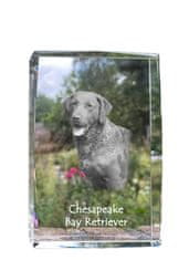 Artdog Chesapeake Bay Retriever - kristal s fotografijo psa, fotografija v steklu, sodobna fotografska razstava Art-Dog