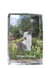 Artdog Podenco z Ibize, Podenco Ibicenco - kristal s fotografijo psa, fotografija v steklu, sodobna fotografska razstava Art-Dog