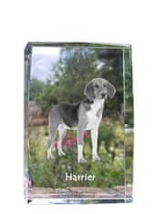 Artdog Harrier - kristal s fotografijo psa, fotografija v steklu, sodobna razstava fotografij blagovne znamke Art-Dog