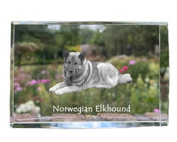 Artdog Elkhund, norveški sivi elghund - kristal s fotografijo psa, fotografija v steklu, sodobna fotografska razstava Art-Dog