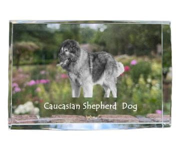 Artdog Kavkaški ovčar - kristal s fotografijo psa, fotografija v steklu, sodobna fotografska razstava Art-Dog