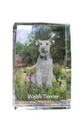 Artdog Welsh Terrier, Welsh Terrier - kristal s fotografijo psa, fotografija v steklu, sodobna fotografska razstava znamke Art-Dog