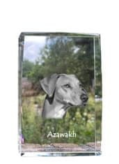 Artdog Afriški hrt, Azawakh - kristal s fotografijo psa, fotografija v steklu, sodobna fotografska razstava Art-Dog