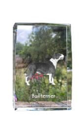 Artdog Bull Terrier, Bull Terrier - kristal s fotografijo psa, fotografija v steklu, sodobna fotografska razstava Art-Dog