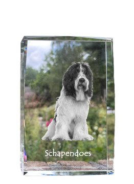 Artdog Schapendoes, nizozemski ovčar - kristal s fotografijo psa, fotografija v steklu, sodobna fotografska razstava Art-Dog