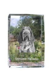 Artdog Italijanski oštrodlaki ptičar, Spinone italiano - kristal s fotografijo psa, fotografija v steklu, razstava sodobnih fotografij Art-Dog