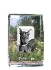 Artdog Doberman, Dobermann - kristal s fotografijo psa, fotografija v steklu, sodobna fotografska razstava Art-Dog