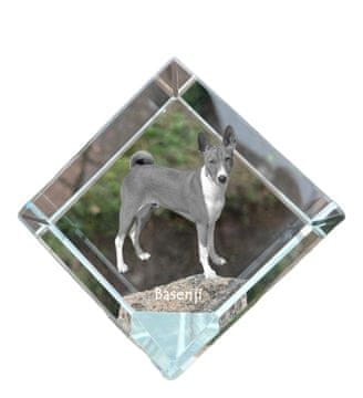 Artdog Basenji, Basenji, Congo Dog - kristalna kocka s fotografijo, fotografija konja v kristalu, kubični obtežilnik za papir Art-Dog