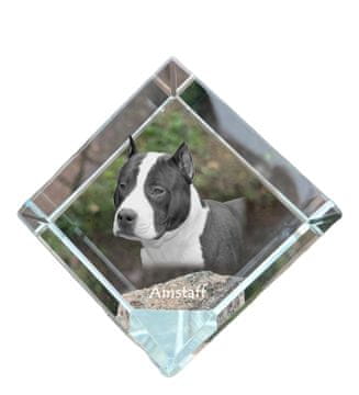 Artdog Ameriški Staffordshire terier, Amstaff, Amstaf - kristalna kocka s fotografijo, fotografija konja v kristalu, kubični obtežilnik za papir Art-Dog