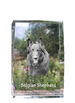 Artdog Belgijski ovčar, belgijski planšarski pes - kristal s fotografijo psa, fotografija v steklu, sodobna fotografska razstava Art-Dog