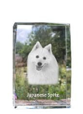 Artdog Japonski špic - kristal s fotografijo psa, fotografija v steklu, sodobna fotografska razstava Art-Dog