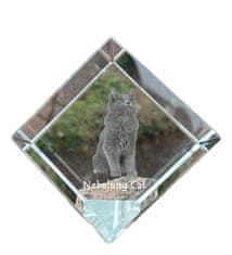 Artdog Nebelung - kristalna kocka s fotografijo mačke, fotografija konja v kristalu, kubični obtežilnik za papir Art-Dog