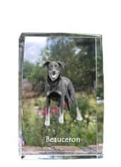 Artdog Francoski ovčar Beauceron - kristal s fotografijo psa, fotografija v steklu, sodobna fotografska razstava Art-Dog