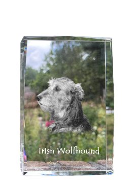 Artdog Irski volčji hrt, irski volčji hrt - kristal s fotografijo psa, fotografija v steklu, sodobna fotografska razstava blagovne znamke Art-Dog